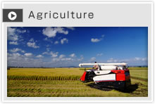 agriculture