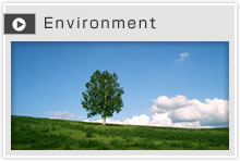 environment