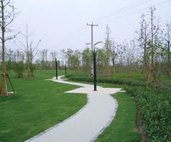 Pervious Pavement (image)