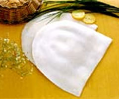 Squid (image)